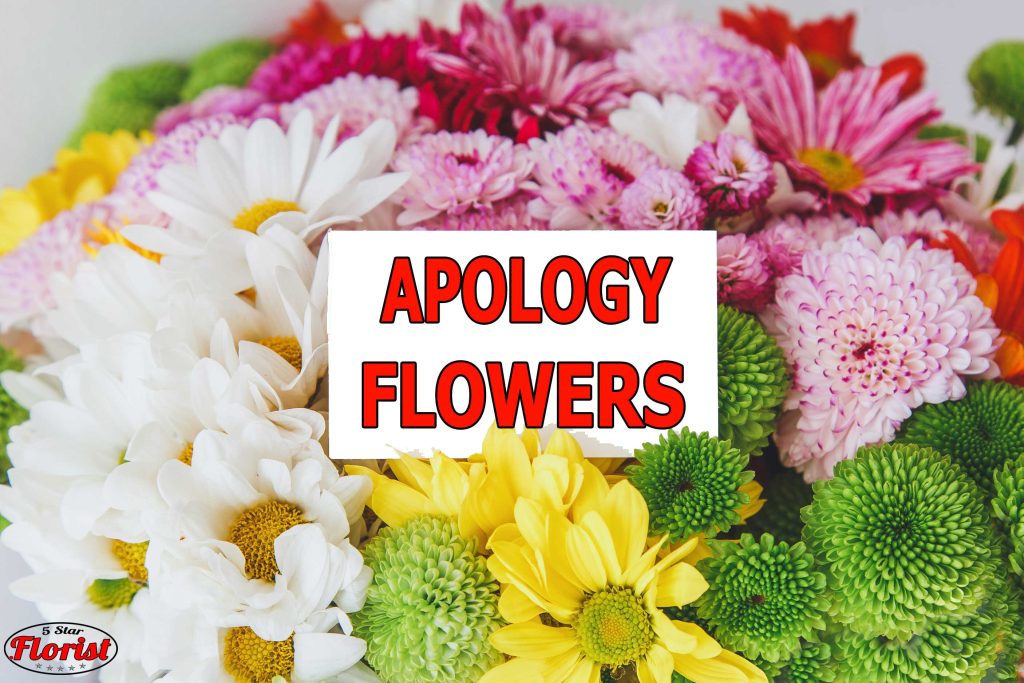 apology flowers Baltimore