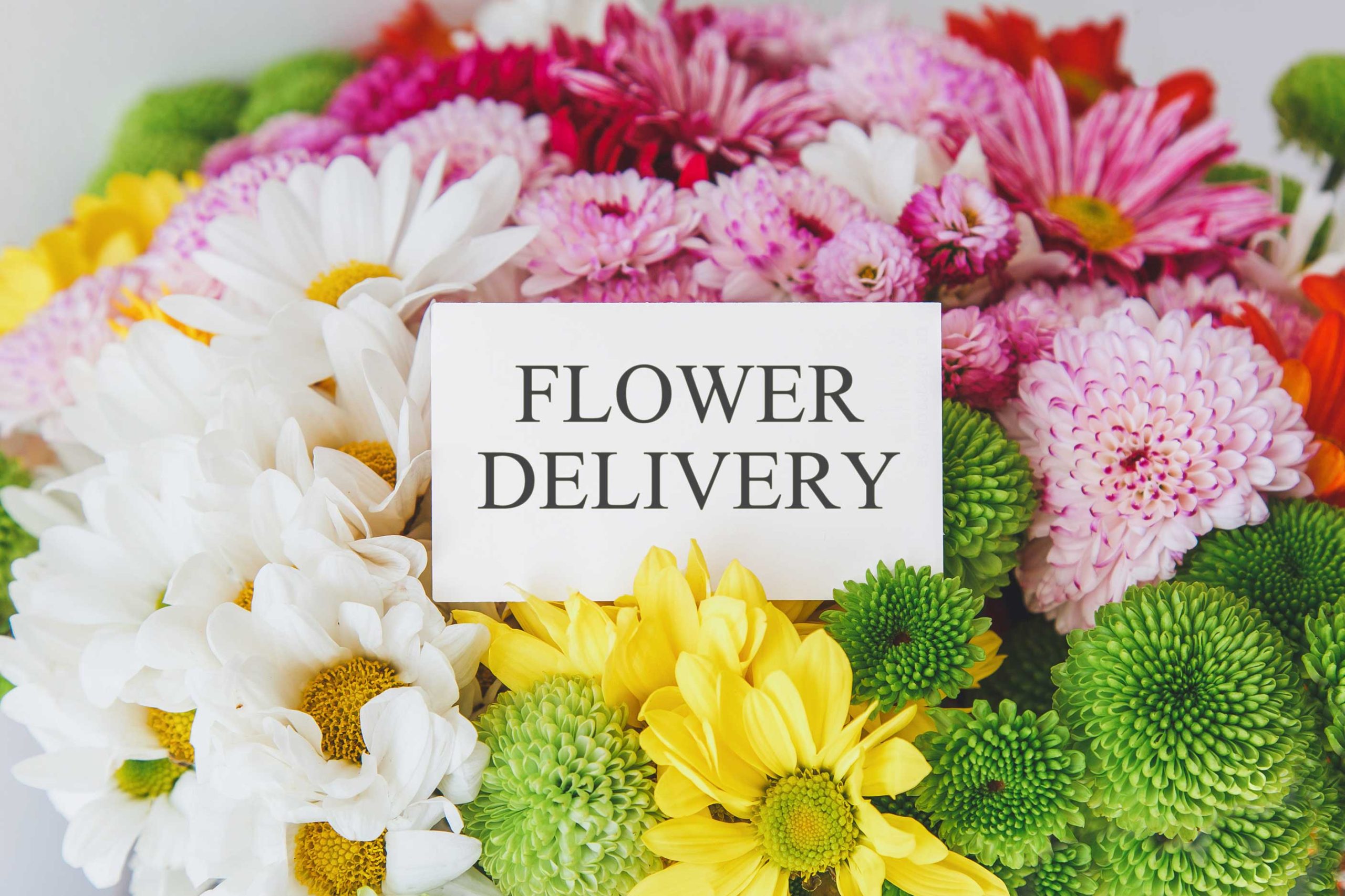 same-day-flower-delivery- Baltimore